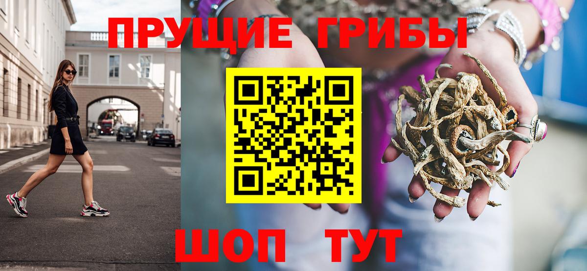 Орехово-Зуево  Псилоцибиновые грибы MAGIC MUSHROOMS  Вход с VPN 