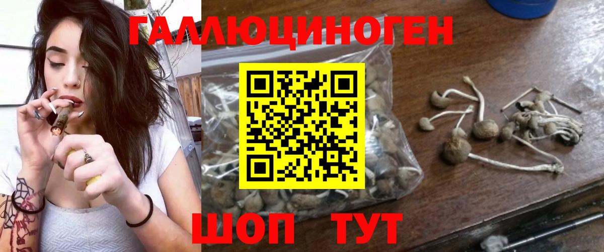Галлюциногенные грибы мицелий Орехово-Зуево